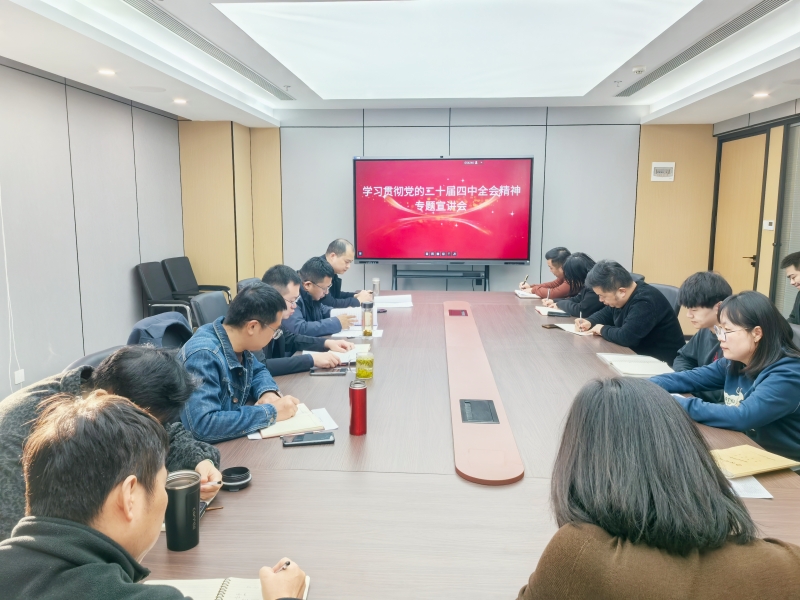 监理公司专题传达学习党的二十届四中全会精神